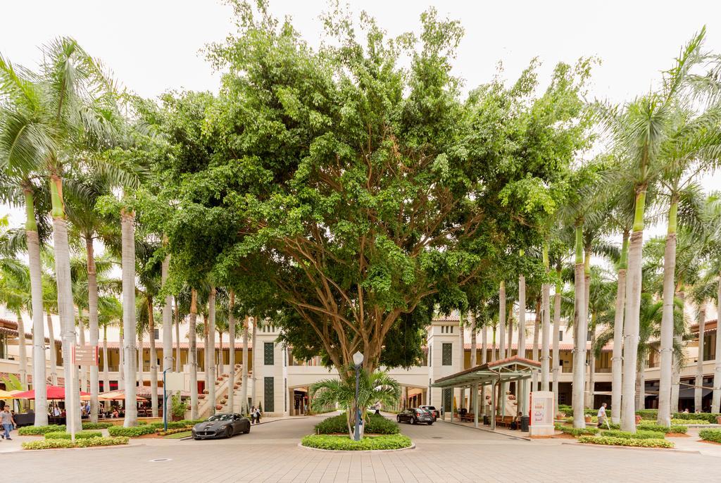 Pelicanstay In Coral Gables Miami Екстериор снимка